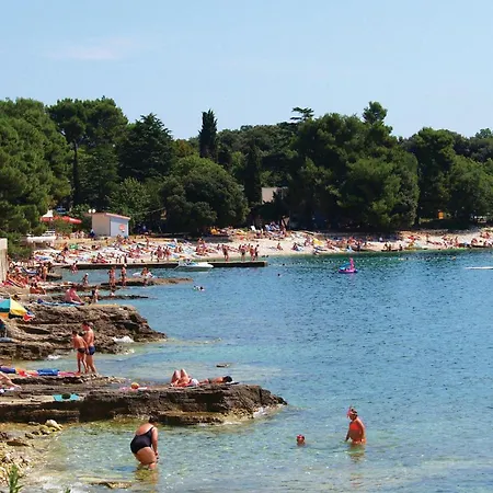 Strane